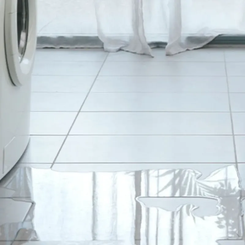 Appliance Leak Cleanup in Harrisville, MI