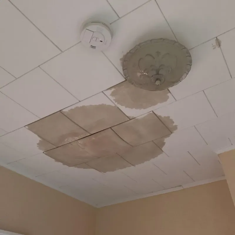 Ceiling Water Damage Repair in Harrisville, MI