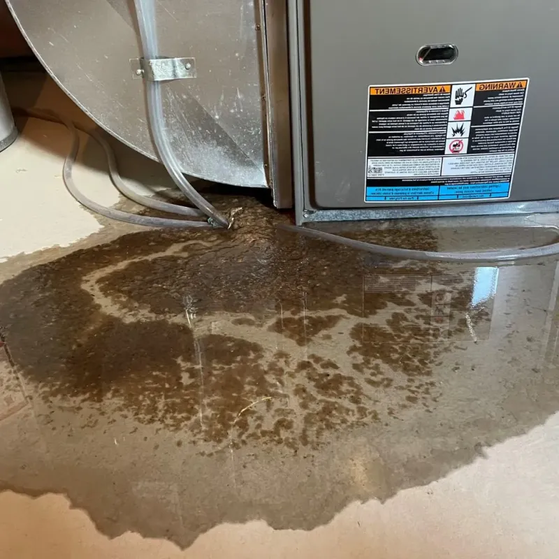 Pipe Burst and Leak Restoration in Harrisville, MI