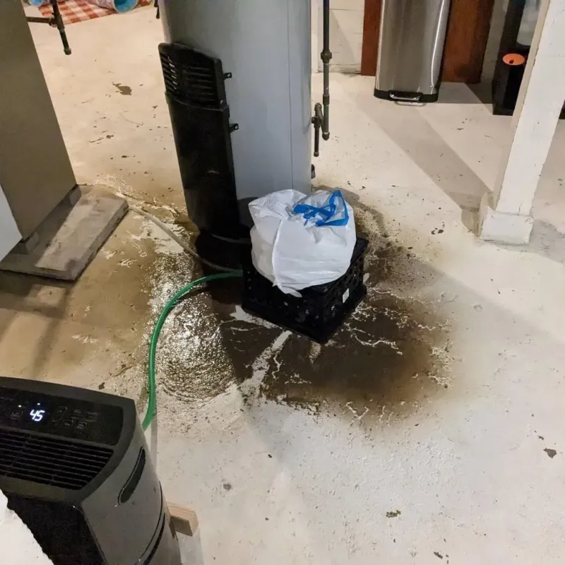 Sewage Backup Cleanup Service in Harrisville, MI